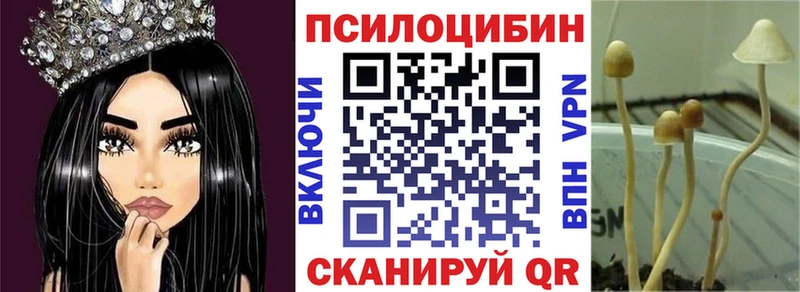 hydra зеркало Ленск Псилоцибиновые грибы Psilocybe дарк нет телеграм магазин продажи наркотиков
